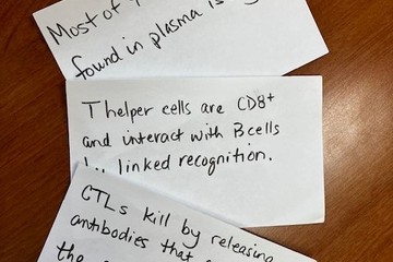 Article preview image